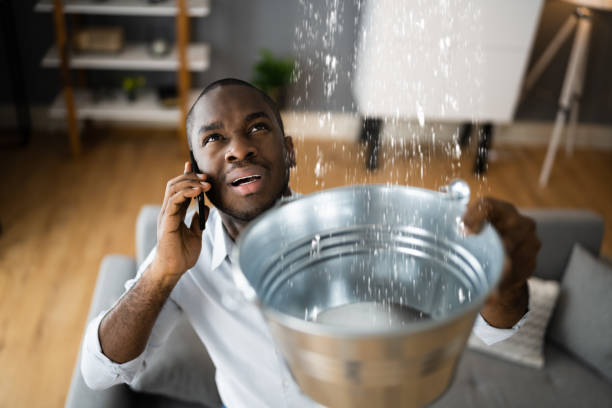 Best Ceiling water damage repair  in Blasdell, NY