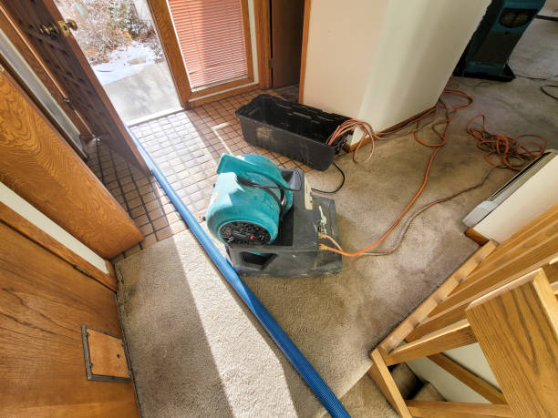 Best Water damage contractors near me  in Blasdell, NY