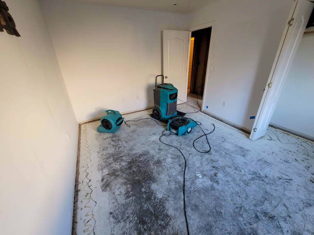 Best Local water damage restoration  in Blasdell, NY