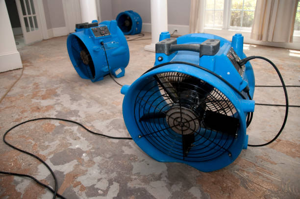 Best Water damage cleanup near me  in Blasdell, NY