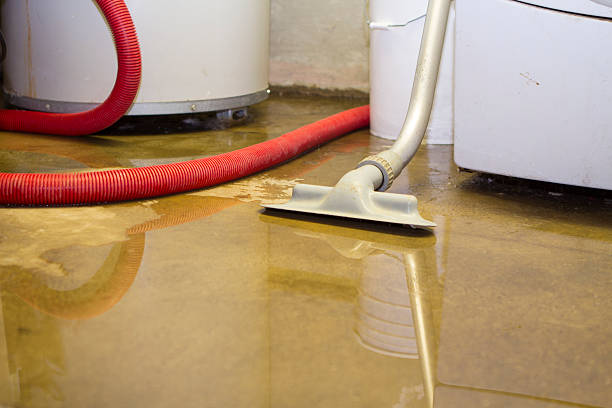 Best Flood damage cleanup  in Blasdell, NY