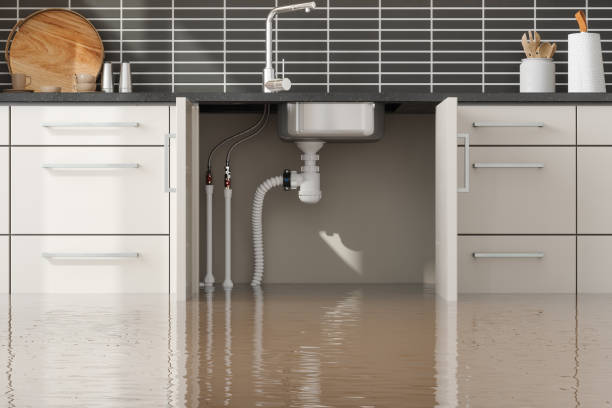 Best Professional water damage repair  in Blasdell, NY