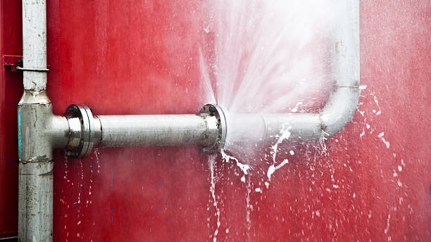 Best Sewage cleanup and water damage restoration  in Blasdell, NY