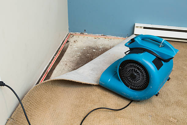 Best Commercial water damage restoration  in Blasdell, NY