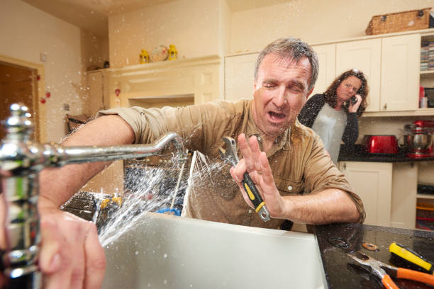 Best Mold removal after water damage  in Blasdell, NY